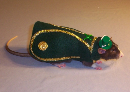 St Pat's Little Mac - Leprachan