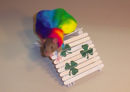 Katie K Dressed and Doing the Hasmter sized A Frame